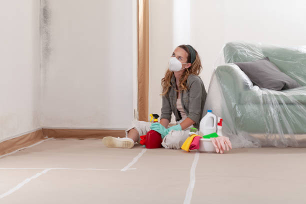 Reliable Mold Remediation contractor in Southampton, PA by WQB Mold Removal